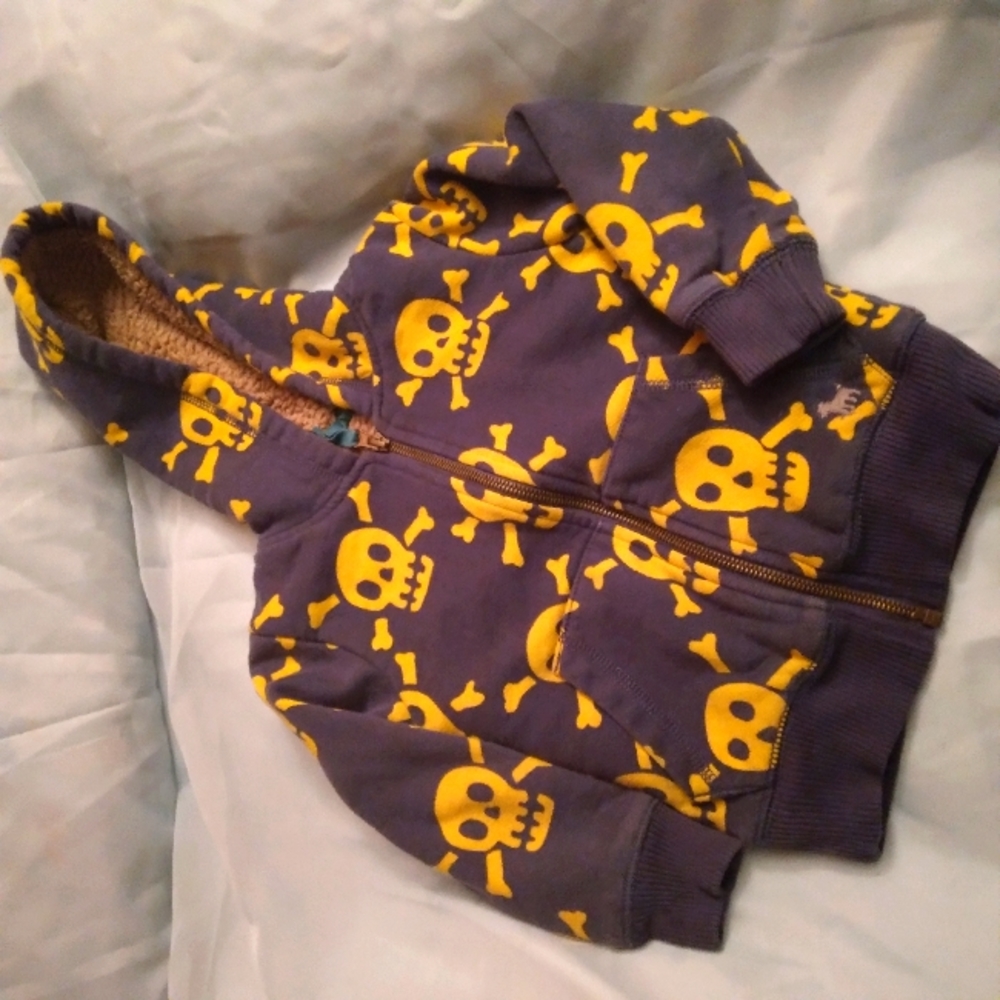 Boy's heavy lined hooded zip up sweatshirt.